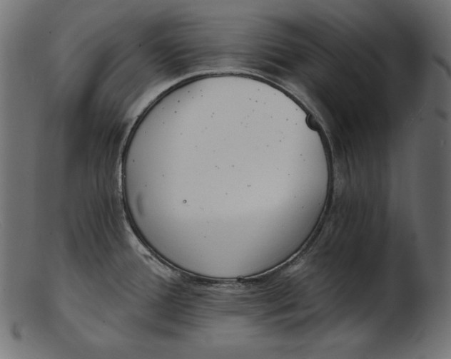 X0000103221388200809111458