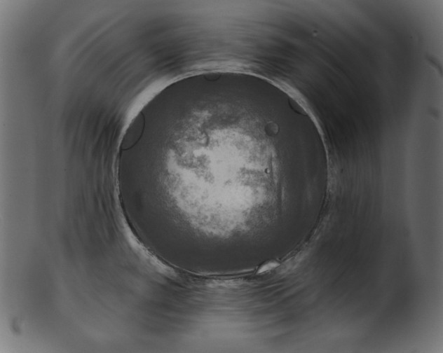 X0000103221389200809111458