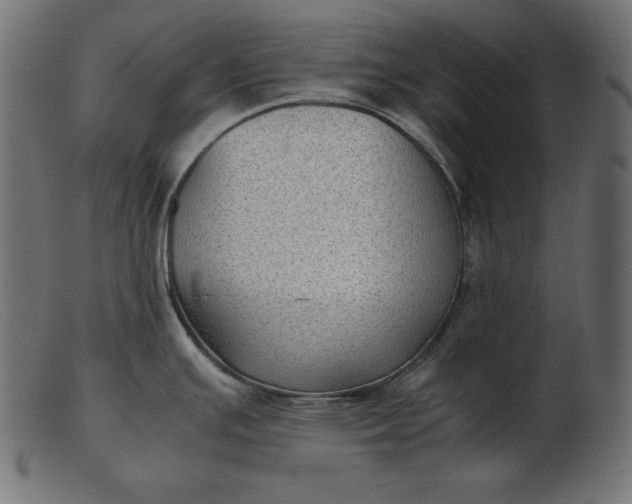 X0000103221391200809111458