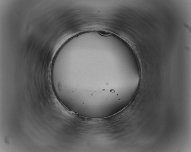 X0000103221392200809111458