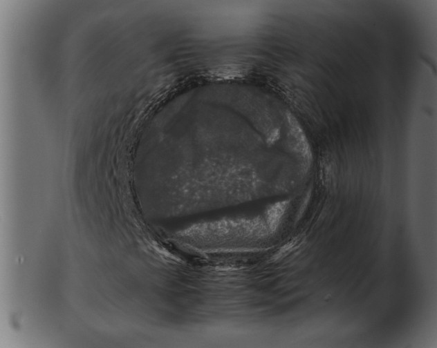 X0000103221393200809111458