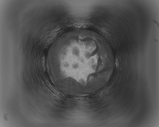 X0000103221396200809111458