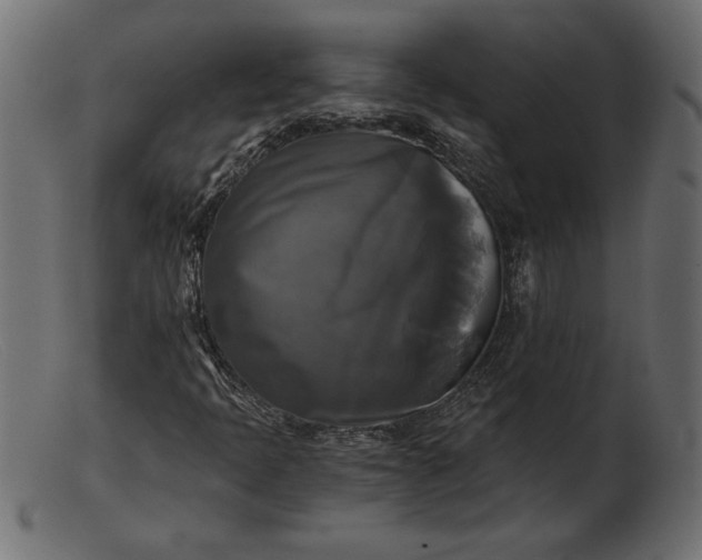 X0000103221397200809111458