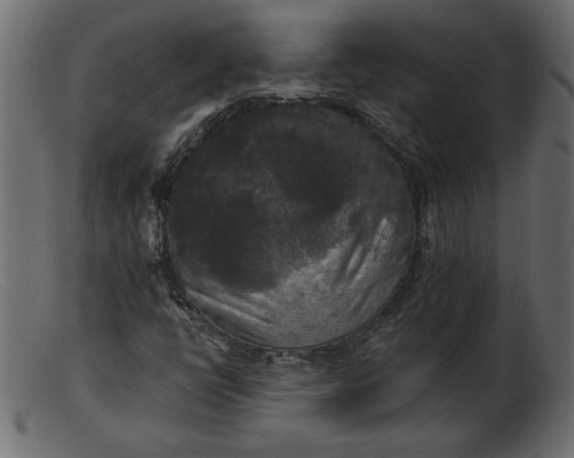 X0000103221398200809111458