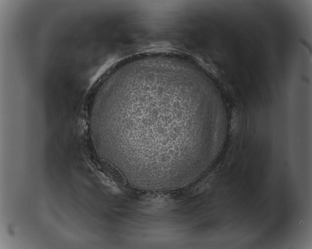 X0000103221400200809111458