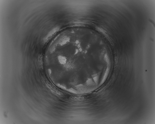 X0000103221403200809111458