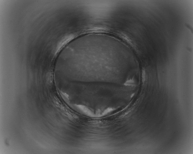 X0000103221405200809111458