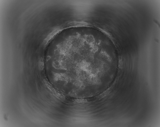 X0000103221407200809111458