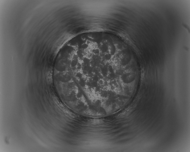 X0000103221409200809111458