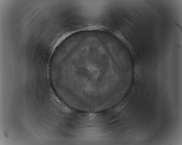 X0000103221412200809111458