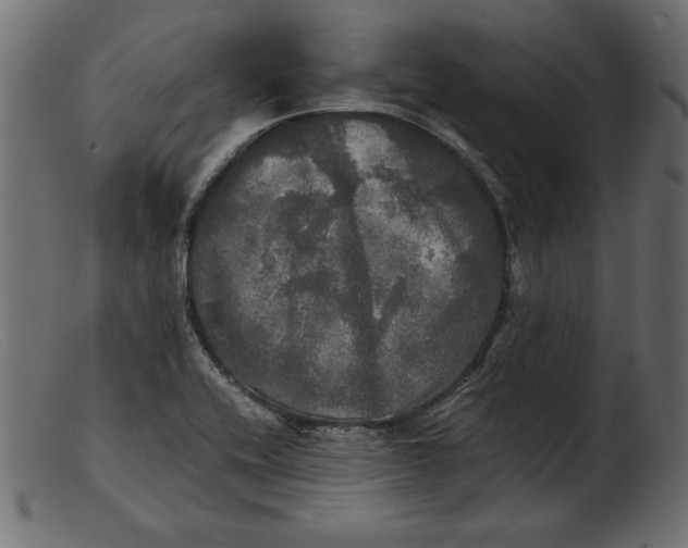 X0000103221416200809111458