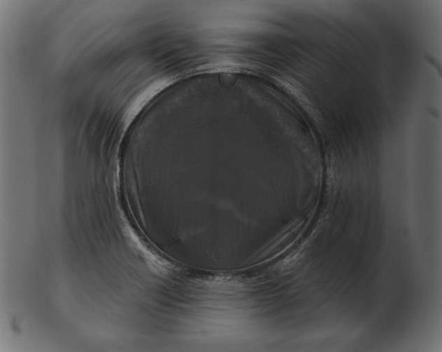 X0000103221418200809111458