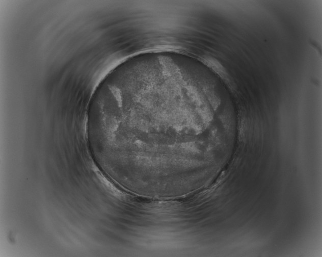 X0000103221420200809111458