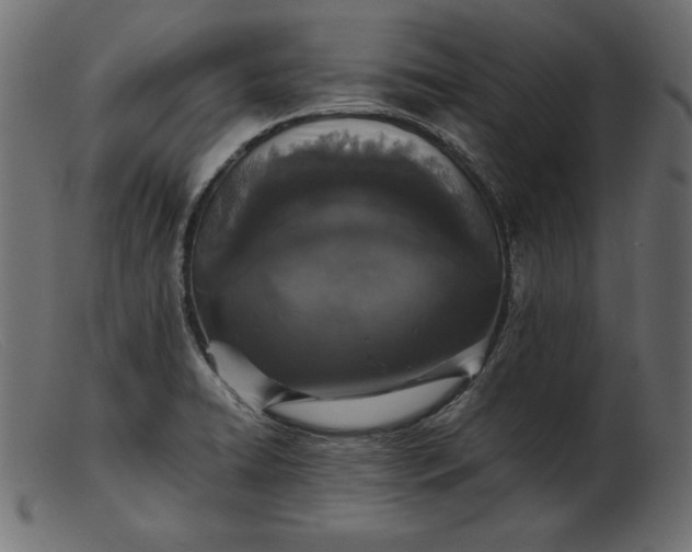 X0000103221422200809111458