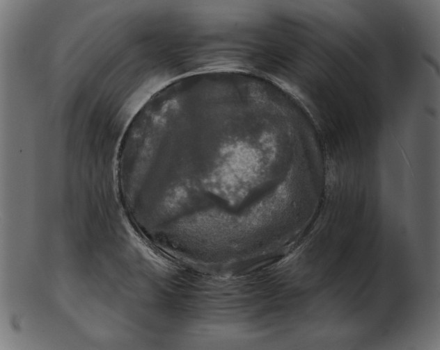 X0000103221423200809111458