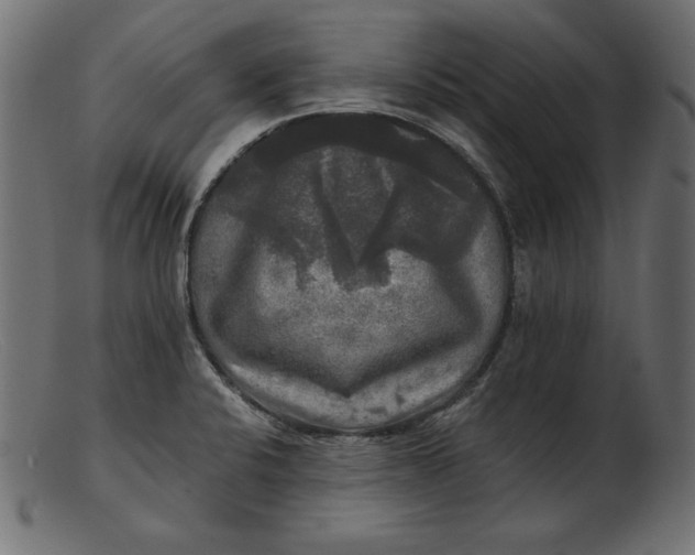 X0000103221424200809111458