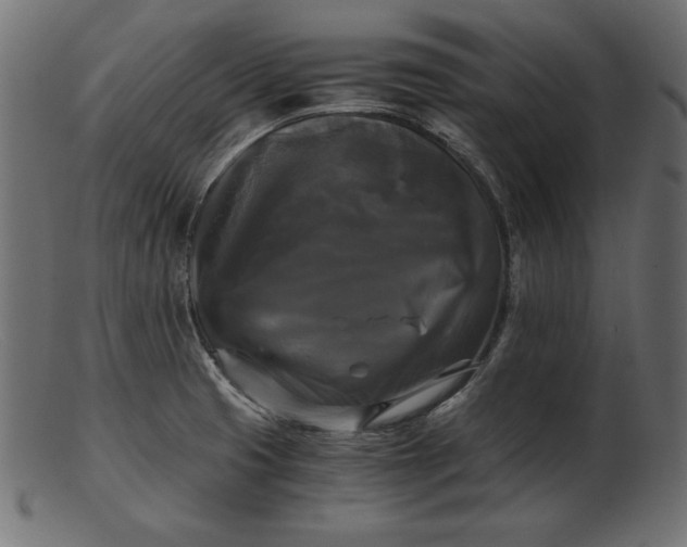 X0000103221425200809111458