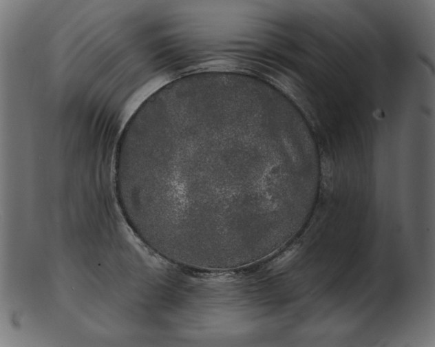 X0000103221426200809111458