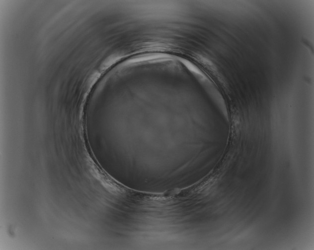 X0000103221427200809111458