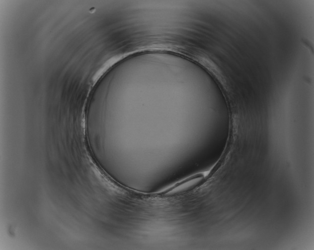 X0000103221428200809111458