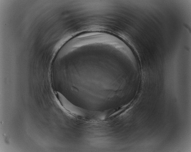 X0000103221429200809111458