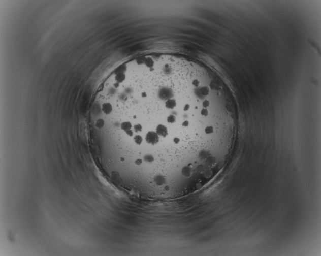 X0000103221433200809111458