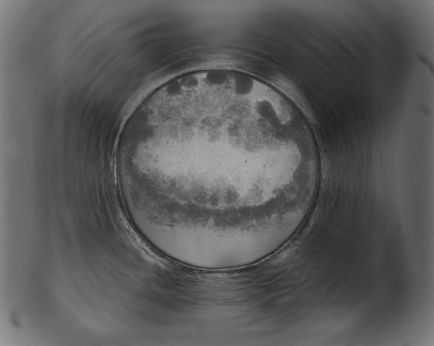 X0000103221436200809111458