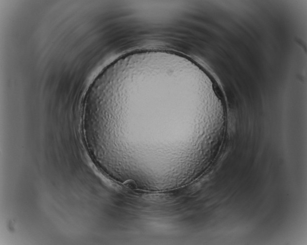 X0000103221437200809111458