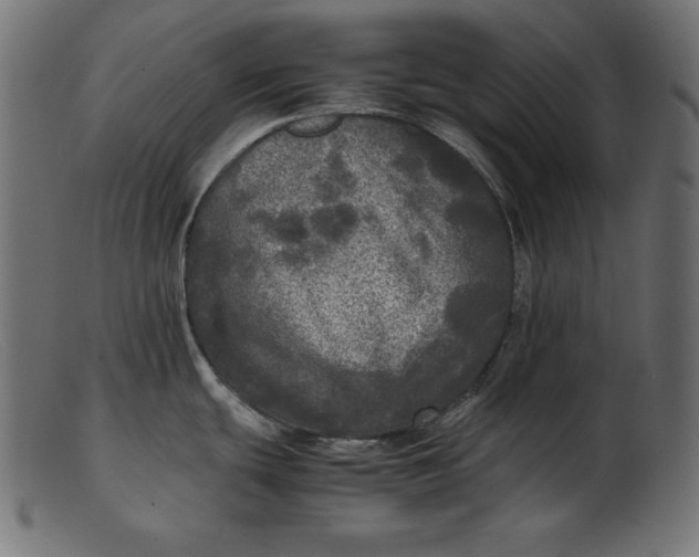 X0000103221439200809111458