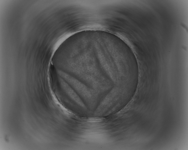 X0000103221440200809111458