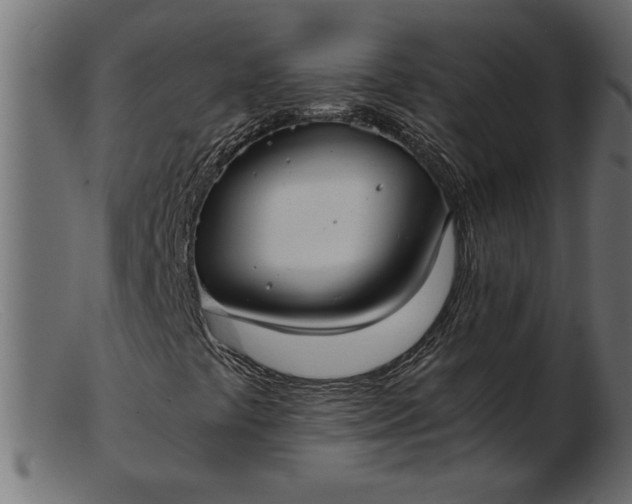 X0000103221441200809111458