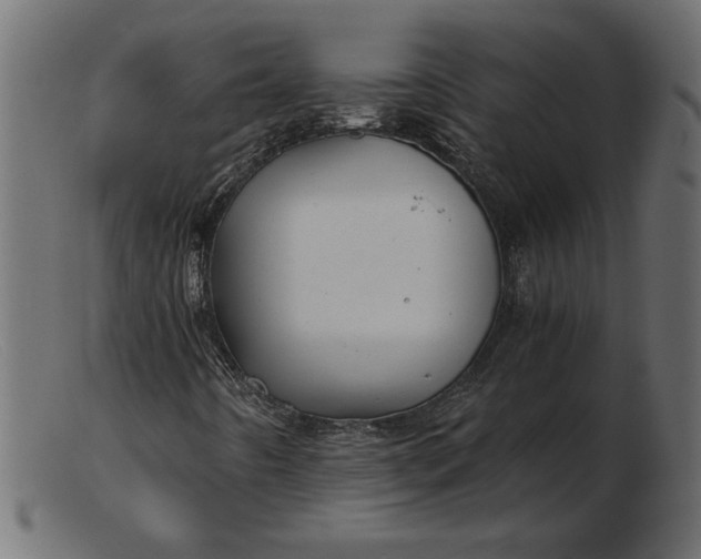 X0000103221442200809111457