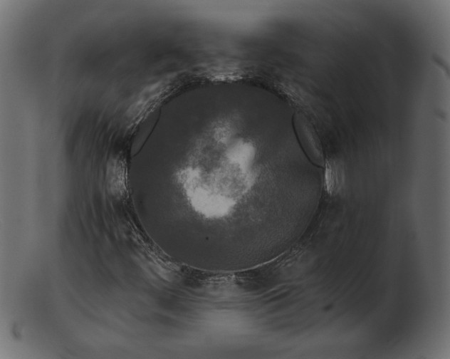 X0000103221444200809111457