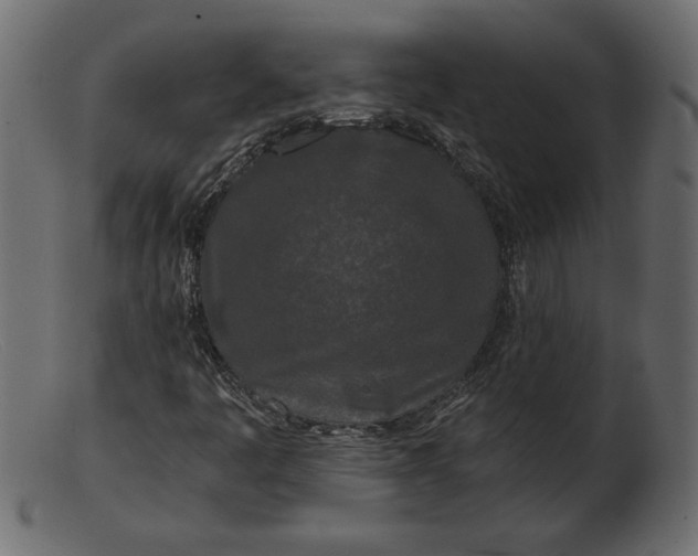 X0000103221445200809111457