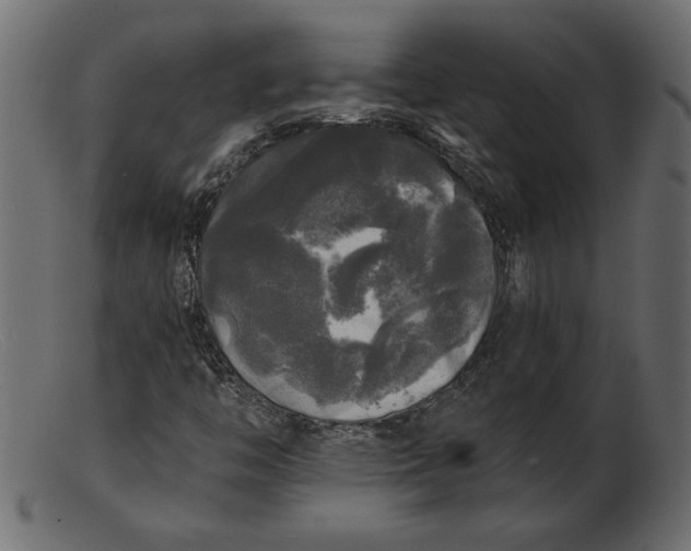 X0000103221446200809111457