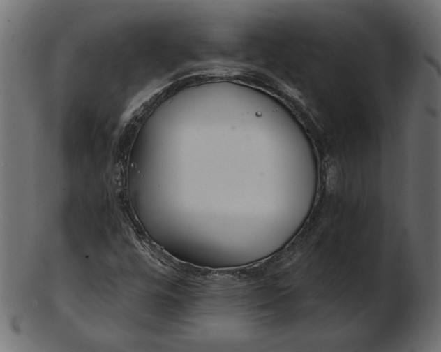 X0000103221448200809111457