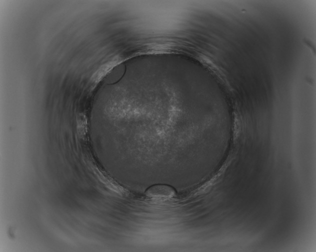 X0000103221449200809111457