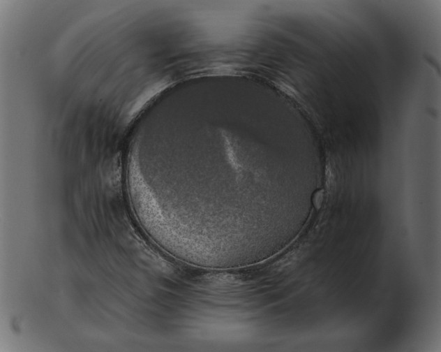 X0000103221450200809111457