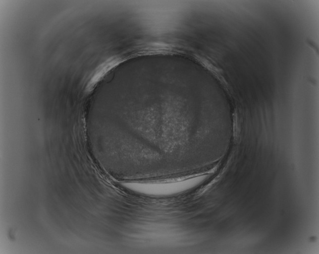 X0000103221453200809111457