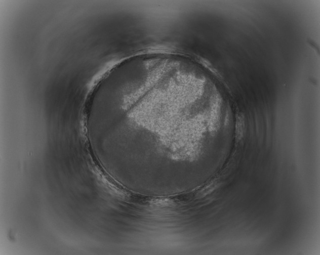 X0000103221454200809111457