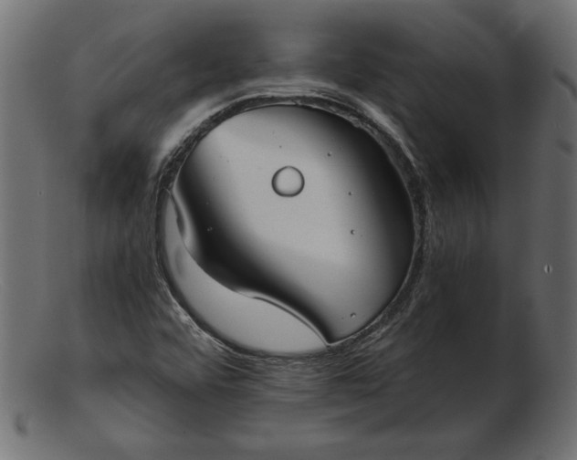 X0000103221456200809111457