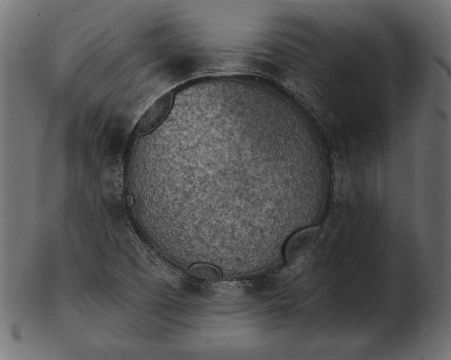 X0000103221457200809111457