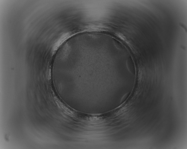 X0000103221459200809111457