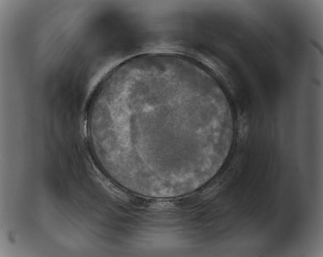 X0000103221462200809111457