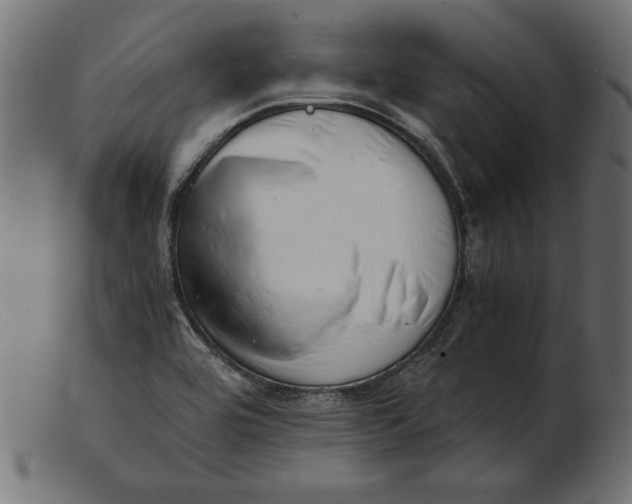 X0000103221464200809111457