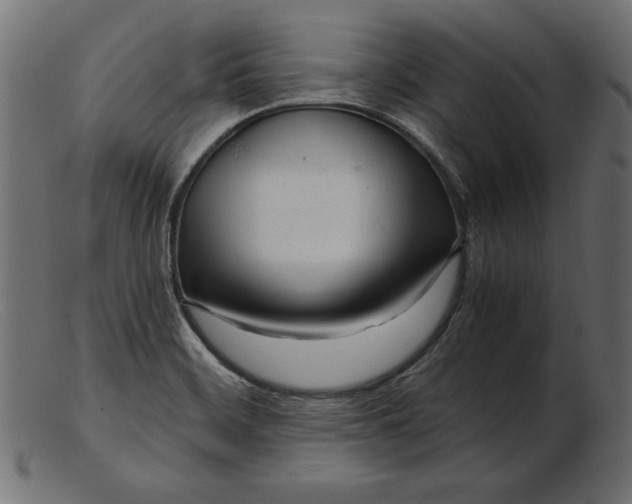 X0000103221468200809111457