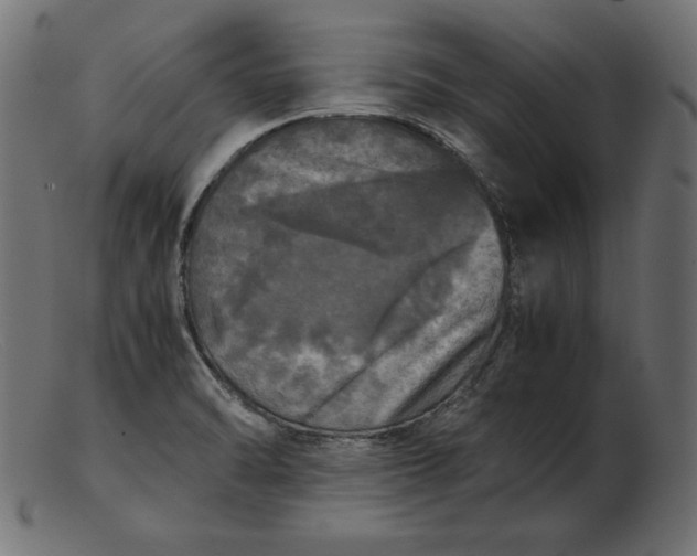 X0000103221470200809111457