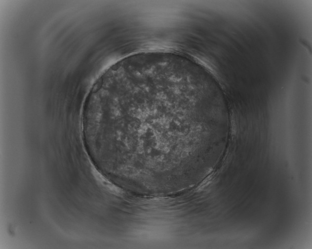 X0000103221471200809111457