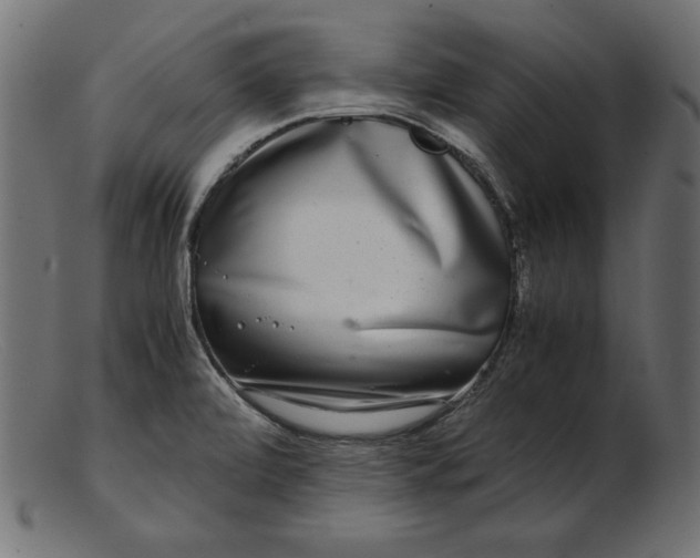 X0000103221472200809111457