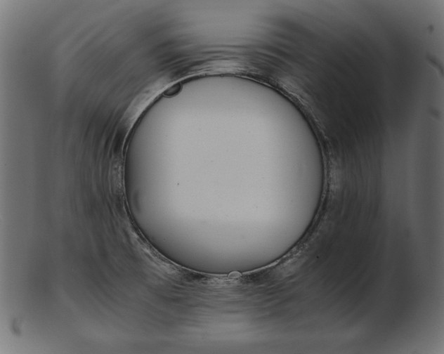 X0000103221473200809111457